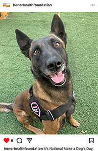 Word of Honor - November 2025 - K9 Social