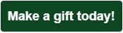 Croquet for a Cure 2027 donation button