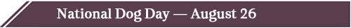 Philanthropy in Action - August 2025 - Dog Day banner